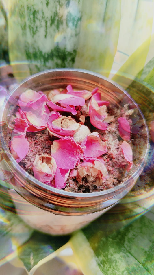 Bio Rosenpeeling mit ätherischem Öl